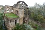 PICTURES/Cordoba - The Roman Bridge/t_DSC00670.JPG